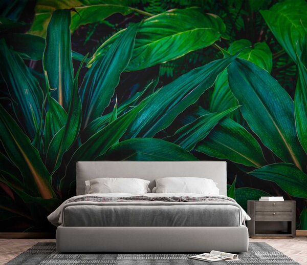 Fototapet Frunze tropicale luxuriante în verde vibrant, Fototapet 3D, Fototapet populare, u41136 - Tapeko.ro