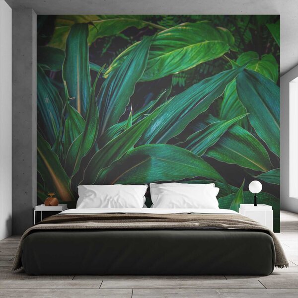 Fototapet Frunze tropicale luxuriante în verde vibrant, Fototapet 3D, Fototapet populare, u41136 - Tapeko.ro
