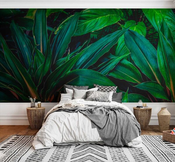 Fototapet Frunze tropicale luxuriante în verde vibrant, Fototapet 3D, Fototapet populare, u41136 - Tapeko.ro