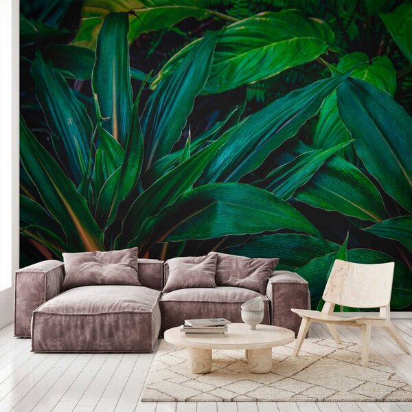 Fototapet Frunze tropicale luxuriante în verde vibrant, Fototapet 3D, Fototapet populare, u41136 - Tapeko.ro