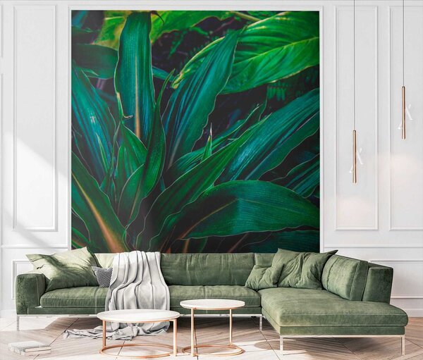 Fototapet Frunze tropicale luxuriante în verde vibrant, Fototapet 3D, Fototapet populare, u41136 - Tapeko.ro