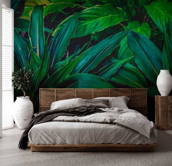 Fototapet Frunze tropicale luxuriante în verde vibrant, Fototapet 3D, Fototapet populare, u41136 - Tapeko.ro