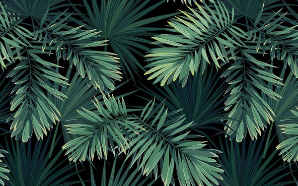 Fototapet Frunze tropicale pe un fundal întunecat, Fototapet 3D, Fototapet populare, u43269 - Tapeko.ro