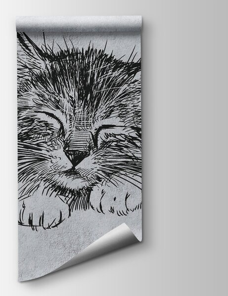 Fototapet Desenul unei pisici, Fototapet designer, Fototapet populare, u43536 - Tapeko.ro