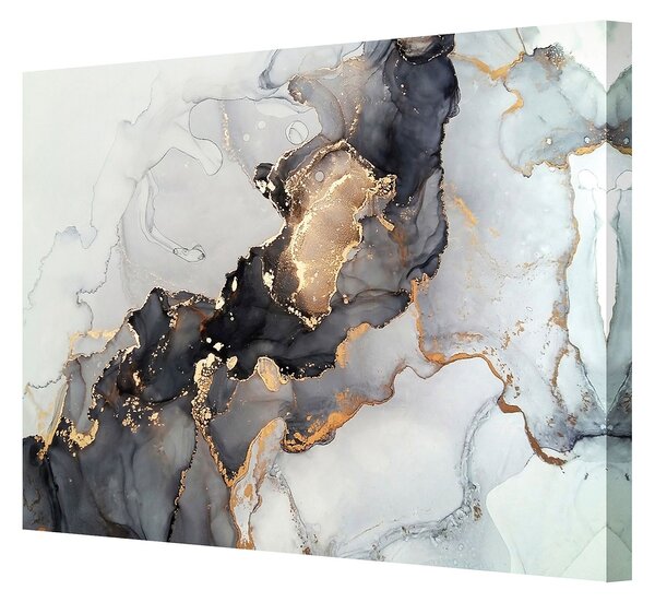 Tablou pe pânză Black&Gold Abstraction
