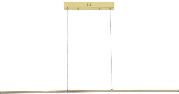 Zuma Line MS903-GD - Lustră LED suspendată pe cablu ESERO LED/20W/230V, auriu