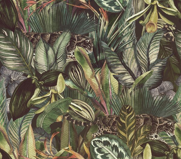 Fototapet Model de plante tropicale, Fototapet jungle, Fototapet populare, u51884 - Tapeko.ro
