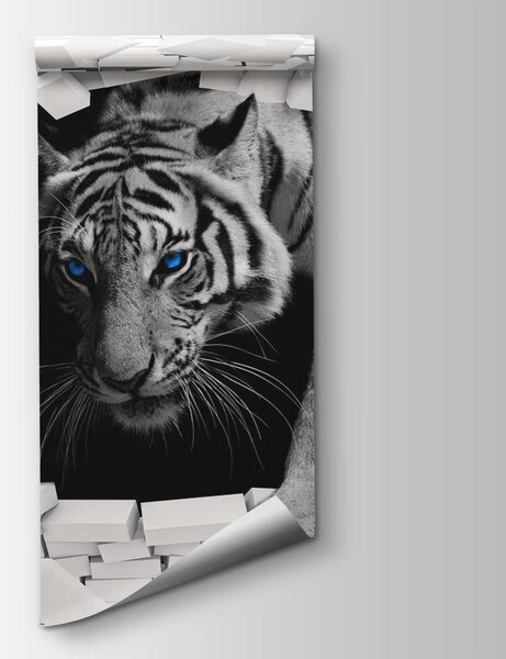 Fototapet Tigru care vine printr-o gaură în perete, Fototapet designer, Fototapet populare, u53013 - Tapeko.ro