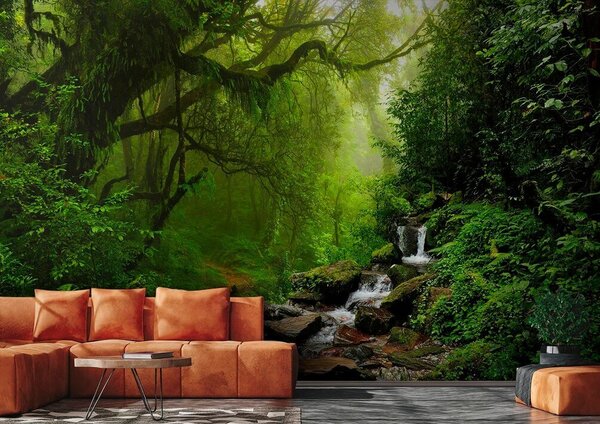 Fototapet Pârâul care trece printr-o pădure, Fototapet jungle, Fototapet populare, u53758 - Tapeko.ro