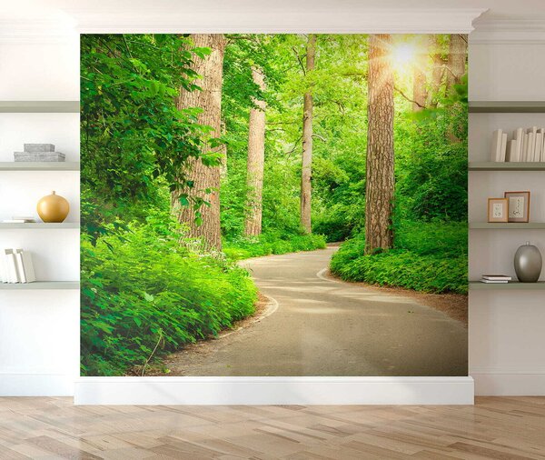Fototapet Lumina soarelui prin pădurea verde luxuriantă, Populare fototapet, Populare fototapet, u54485 - Muralas.ro