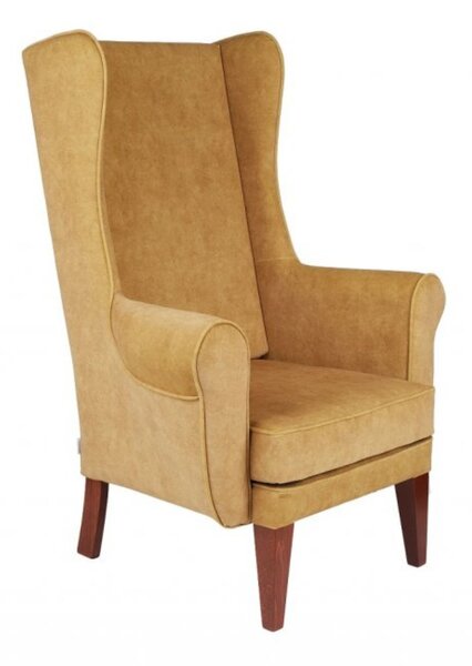 Fotoliu Wingback