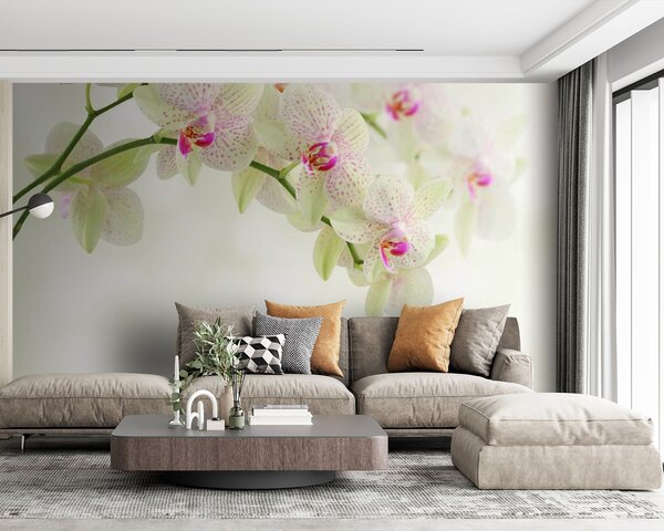 Fototapet Orhidee delicate deasupra apei blânde, Fototapet flori, Fototapet populare, u56335 - Tapeko.ro