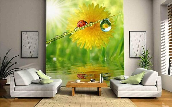 Fototapet Ladybug pe un fir de iarbă cu picături de apă, Fototapet designer, Fototapet populare, u56633 - Tapeko.ro