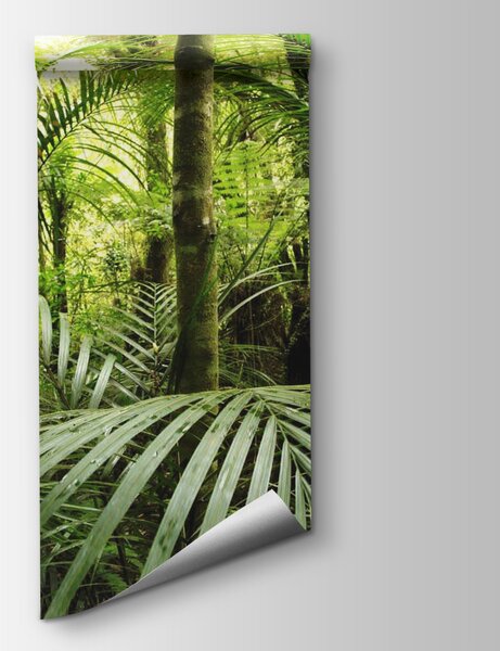 Fototapet Pădure verde cu palmieri, Fototapet jungle, Fototapet populare, u56916 - Tapeko.ro