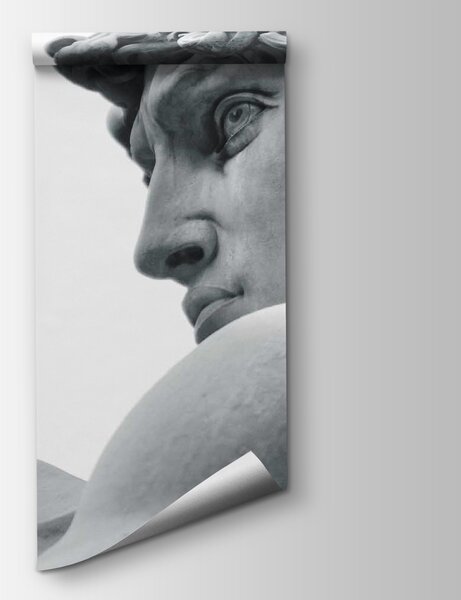 Fototapet Statuia unui bărbat, Fototapet designer, Fototapet populare, u57196 - Tapeko.ro