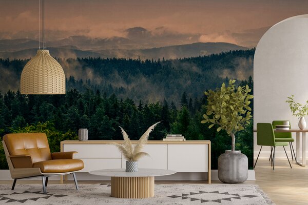 Fototapet Pădure cu ceață și nori, Fototapet designer, Fototapet populare, u72174 - Tapeko.ro