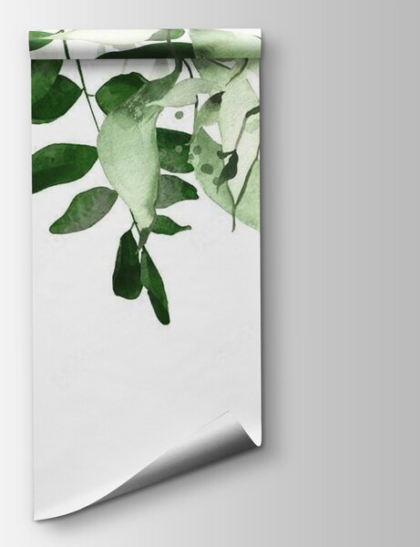 Fototapet Design elegant de fundal cu frunze verzi, Fototapet frunze, Fototapet populare, u72397 - Tapeko.ro
