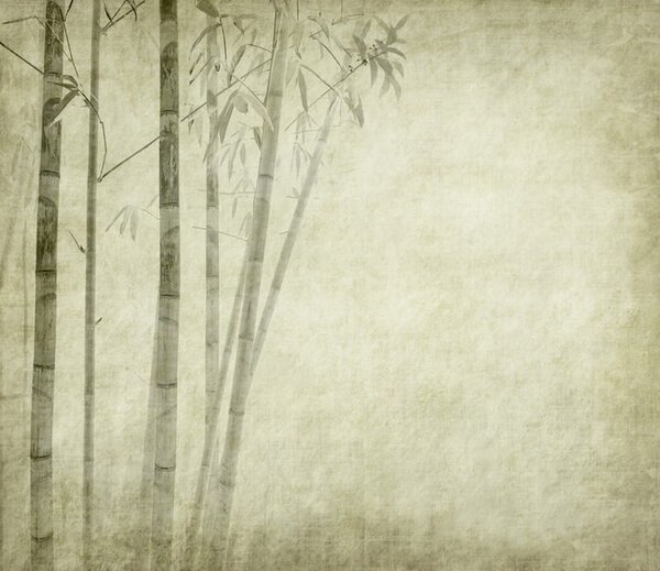 Fototapet Grup de arbori de bambus, Fototapet pădure, Fototapet populare, u72564 - Tapeko.ro