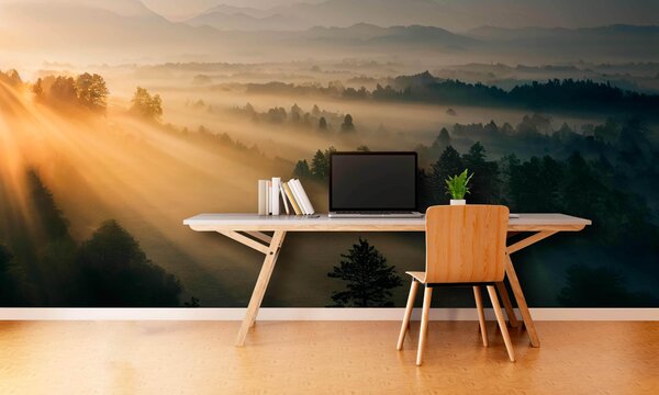 Fototapet Soarele strălucește printre copaci, Fototapet pădure, Fototapet populare, u73864 - Tapeko.ro