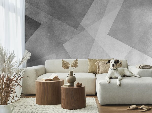Fototapet Fond gri și alb, Fototapet geometric 3D, Fototapet populare, u74057 - Tapeko.ro
