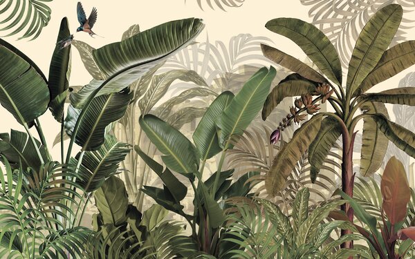 Fototapet Grup de plante tropicale, Fototapet jungle, Fototapet populare, u74748 - Tapeko.ro