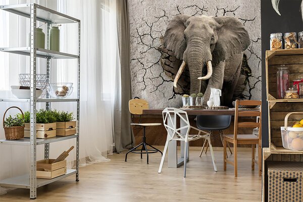 Fototapet Un elefant care iese la suprafață, Fototapet animale, Fototapet populare, u77854 - Tapeko.ro