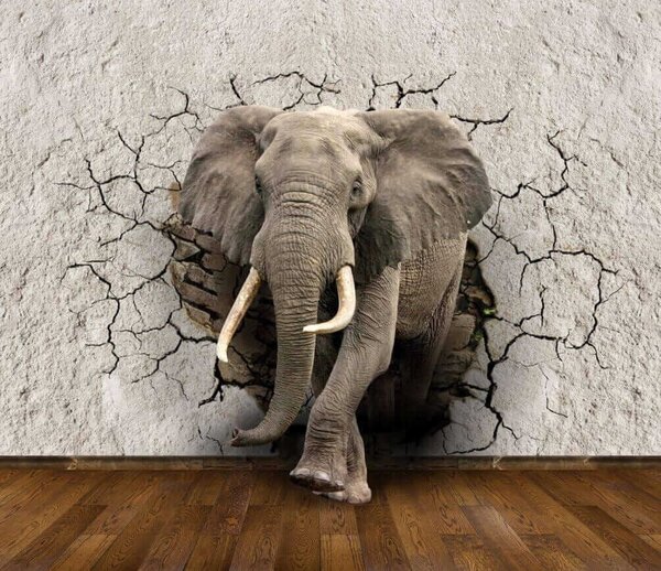 Fototapet Un elefant care iese la suprafață, Fototapet animale, Fototapet populare, u77854 - Tapeko.ro