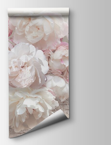 Fototapet Grup de flori albe, Fototapet 3D, Fototapet populare, u79549 - Tapeko.ro