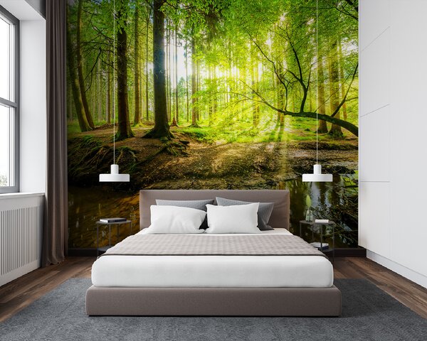 Fototapet Pârâul într-o pădure, Fototapet pădure, Fototapet populare, u93621 - Tapeko.ro