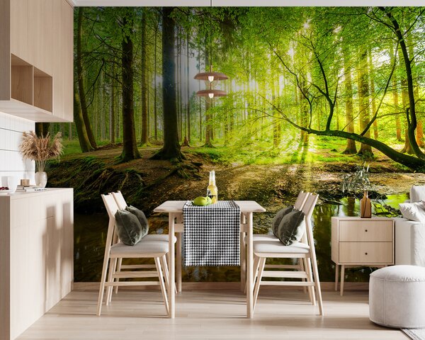 Fototapet Pârâul într-o pădure, Fototapet pădure, Fototapet populare, u93621 - Tapeko.ro