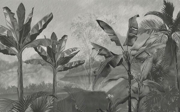 Fototapet Imagine alb-negru a unei păduri tropicale, Fototapet jungle, Fototapet populare, u94329 - Tapeko.ro