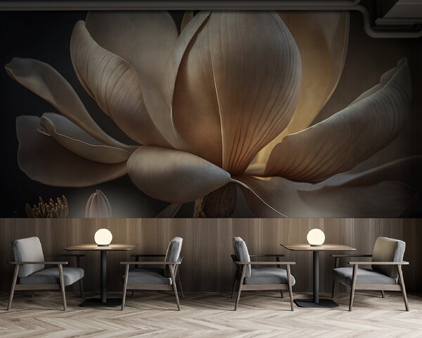 Fototapet Magnolie grațioasă în lumină blândă, Fototapet flori 3D, Fototapet populare, u94507 - Tapeko.ro