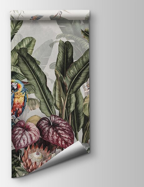 Fototapet Imagine de fundal cu plante tropicale și păsări, Fototapet flori, Fototapet populare, u95371 - Tapeko.ro