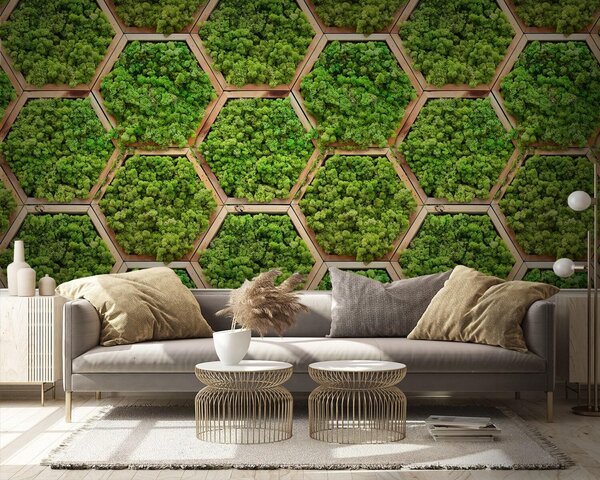 Fototapet Perete de plante în hexagoane, Fototapet 3D, Fototapet populare, u95502 - Tapeko.ro