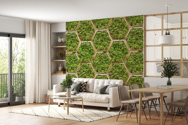 Fototapet Perete de plante în hexagoane, Fototapet 3D, Fototapet populare, u95502 - Tapeko.ro
