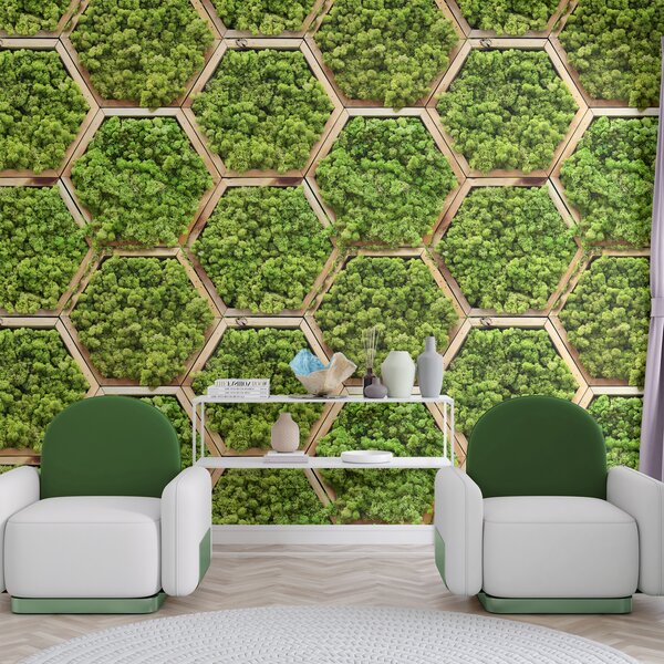 Fototapet Perete de plante în hexagoane, Fototapet 3D, Fototapet populare, u95502 - Tapeko.ro