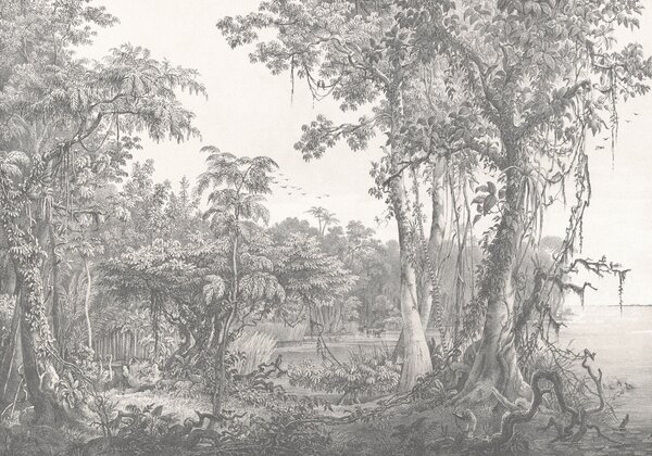 Fototapet Desen de copaci și plante, Fototapet pădure, Fototapet populare, u95795 - Tapeko.ro