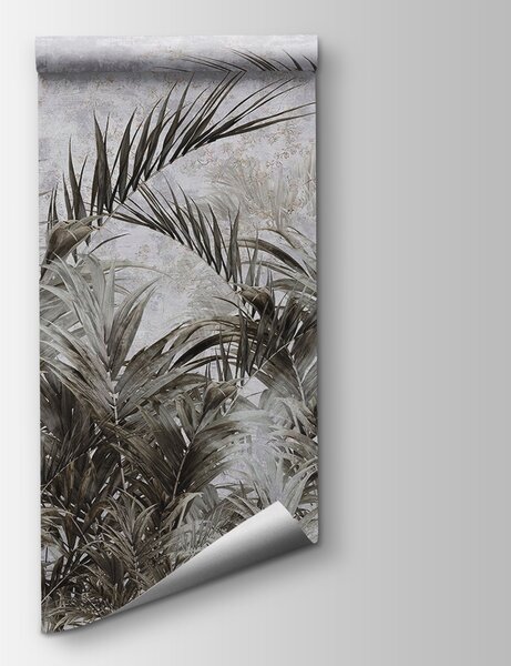 Fototapet Grup de palmieri, Fototapet jungle, Fototapet populare, u96072 - Tapeko.ro