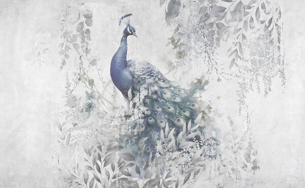 Fototapet Peacock cu pene pe un fundal alb, Fototapet animale, Fototapet populare, u96727 - Tapeko.ro