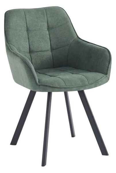 Fotoliu design Petena (Verde + Negru) . 1097100