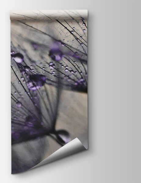 Fototapet Picături delicate pe petale fragile, Fototapet 3D, Fototapet populare, u57557v3 - Tapeko.ro