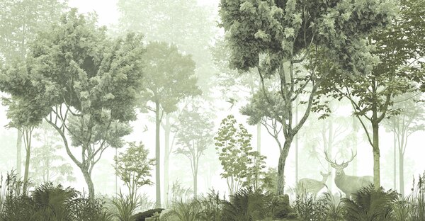 Fototapet O pădure cu copaci și plante, Fototapet pădure, Fototapet populare, u72134v2 - Tapeko.ro