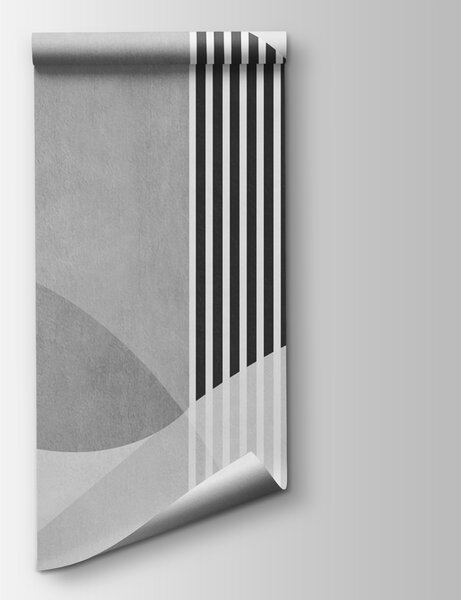 Fototapet Un fundal gri și alb cu linii și cercuri negre, Fototapet abstracte, Fototapet populare, u74075v2 - Tapeko.ro