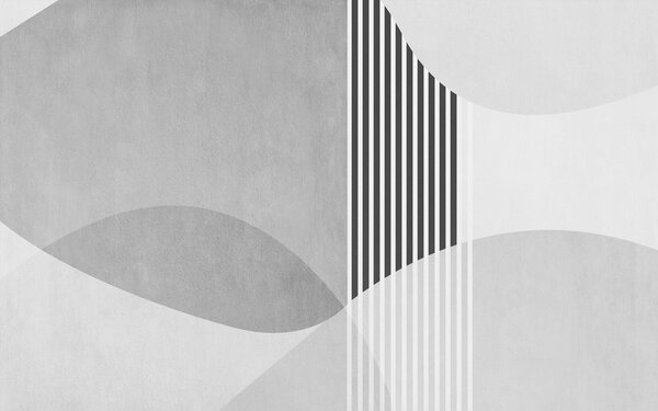 Fototapet Un fundal gri și alb cu linii și cercuri negre, Fototapet abstracte, Fototapet populare, u74075v2 - Tapeko.ro