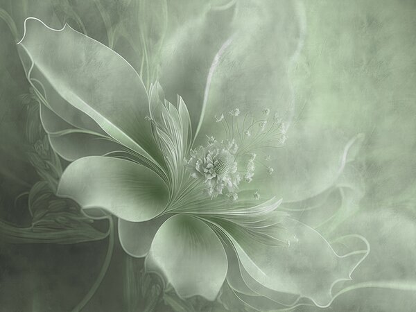 Fototapet Frumusețe florală delicată în nuanțe delicate, Fototapet flori 3D, Fototapet populare, u93944v3 - Tapeko.ro