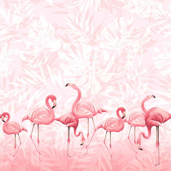 Fototapet Un grup de flamingo roz, Fototapet flamingo, Fototapet populare, u97217 - Tapeko.ro