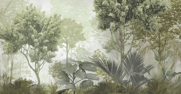 Fototapet Un grup de copaci și plante într-o pădure cețoasă, Fototapet jungle, Fototapet populare, u97409 - Tapeko.ro