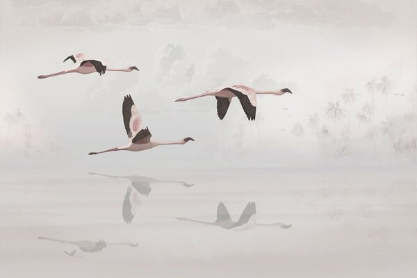 Fototapet Un grup de flamingo care zboară deasupra apei, Fototapet plajă, Fototapet populare, u97457 - Tapeko.ro