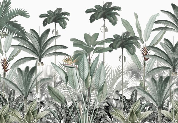 Fototapet Un grup de plante cu flori, Fototapet jungle, Fototapet populare, u98154 - Tapeko.ro