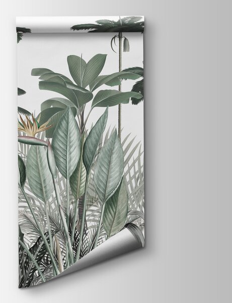 Fototapet Un grup de plante cu flori, Fototapet jungle, Fototapet populare, u98154 - Tapeko.ro